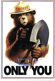 220px-Smokey_Bear_Only_You_campaign_hat